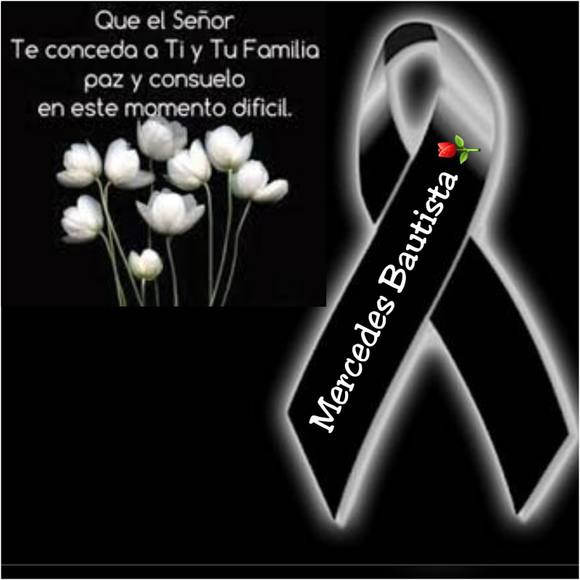 fernicol2311